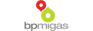 Bp Migas Client Logo